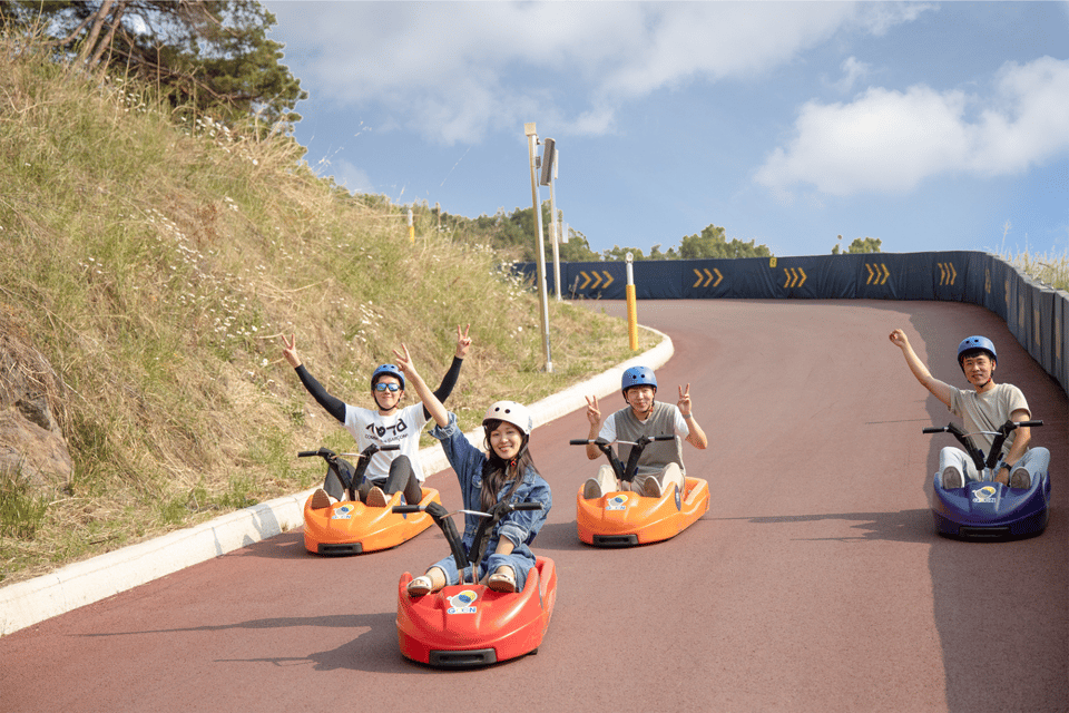 From Seoul: Full Day Trip to Alpaca Farm with Rail Bike - Price and value: does $59 make sense for this mix?