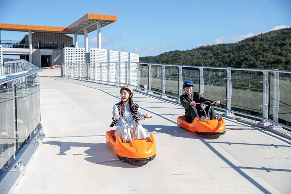From Seoul: Full Day Trip to Alpaca Farm with Rail Bike - Should you book this Seoul-to-Gangwon alpaca and rail bike day trip?