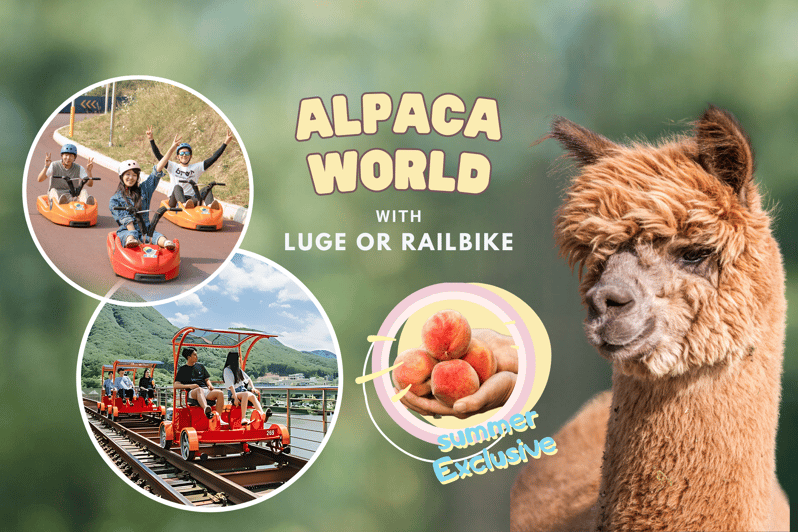 From Seoul: Full Day Trip to Alpaca Farm with Rail Bike - Gangchon Rail Park rail bike: downhill fun on an old track