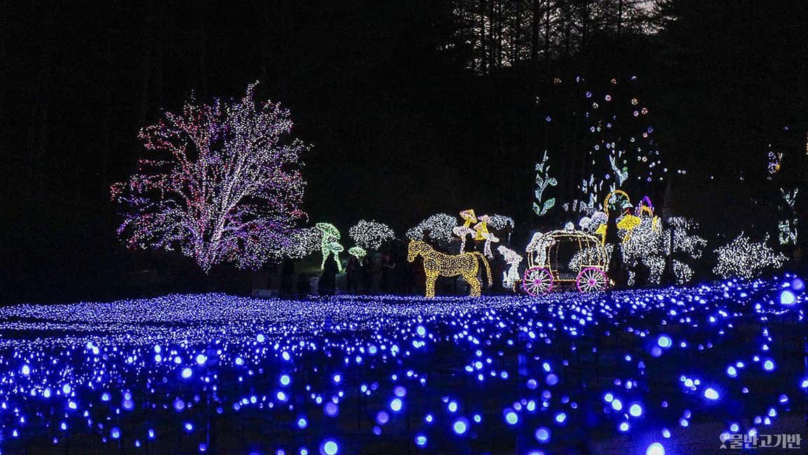 From Seoul: Hwacheon Ice Fishing and Lighting Festival Tour - Key Highlights Worth Planning Around