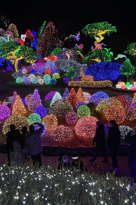 From Seoul: Hwacheon Ice Fishing and Lighting Festival Tour - Who This Tour Suits Best (and Who Should Rethink It)