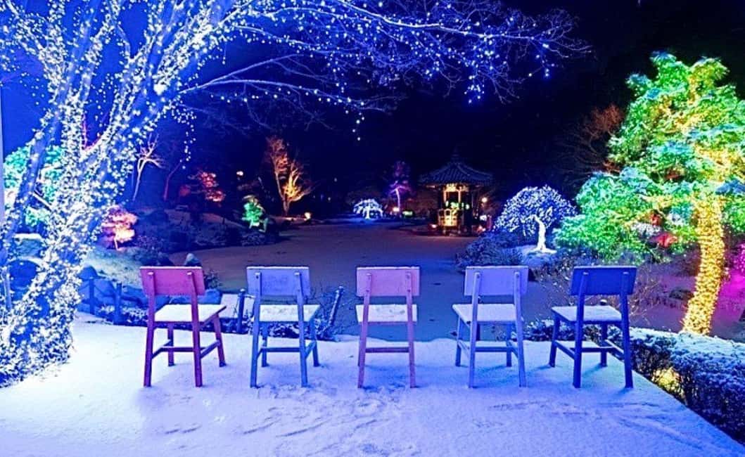 From Seoul: Hwacheon Ice Fishing and Lighting Festival Tour - Winter Magic in One Day: Why This Combo Works