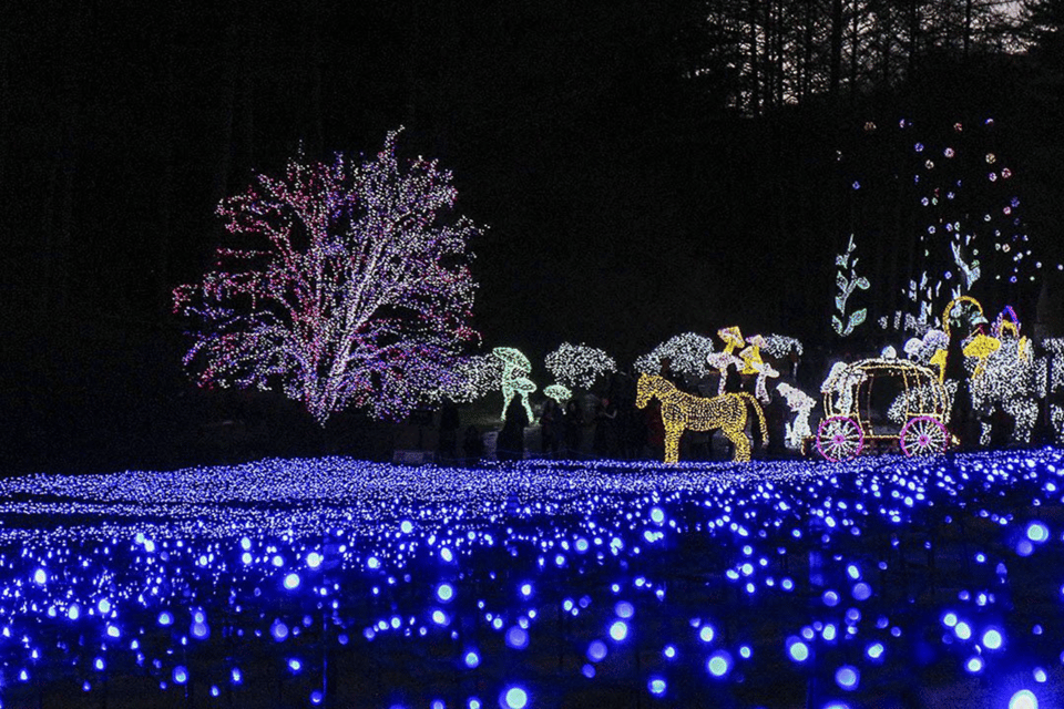 From Seoul: Hwacheon Ice Fishing and Lighting Festival Tour - The Long Transition: From Ice Festival Energy to Night Lights