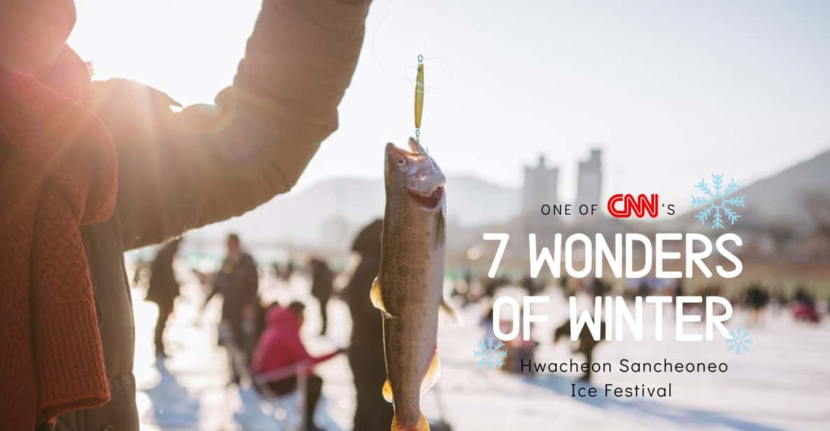 From Seoul: Hwacheon Ice Fishing and Lighting Festival Tour - Tour Guide, Languages, and the Group Flow