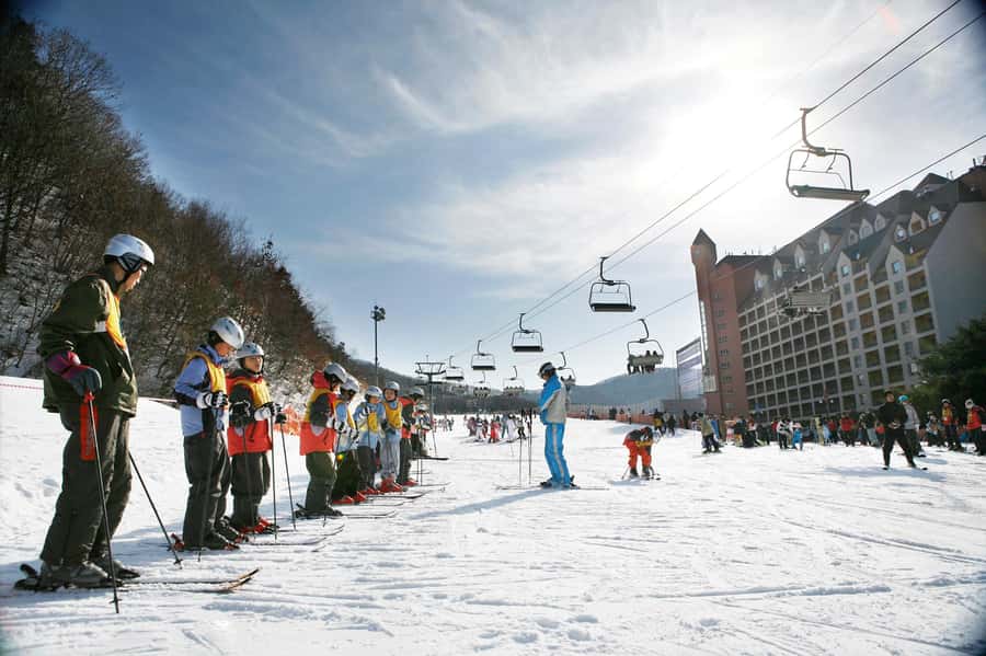 From Seoul: Korea Ski Tour - Jisan Forest Resort - Key highlights you’ll care about