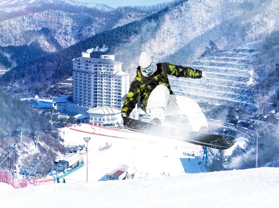 From Seoul: Korea Ski Tour - Jisan Forest Resort - Should you book the Seoul to Jisan Forest Resort ski tour?