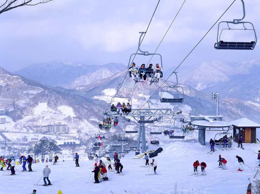 From Seoul: Korea Ski Tour - Jisan Forest Resort - Seoul to Jisan: Why this ski day works for first-timers