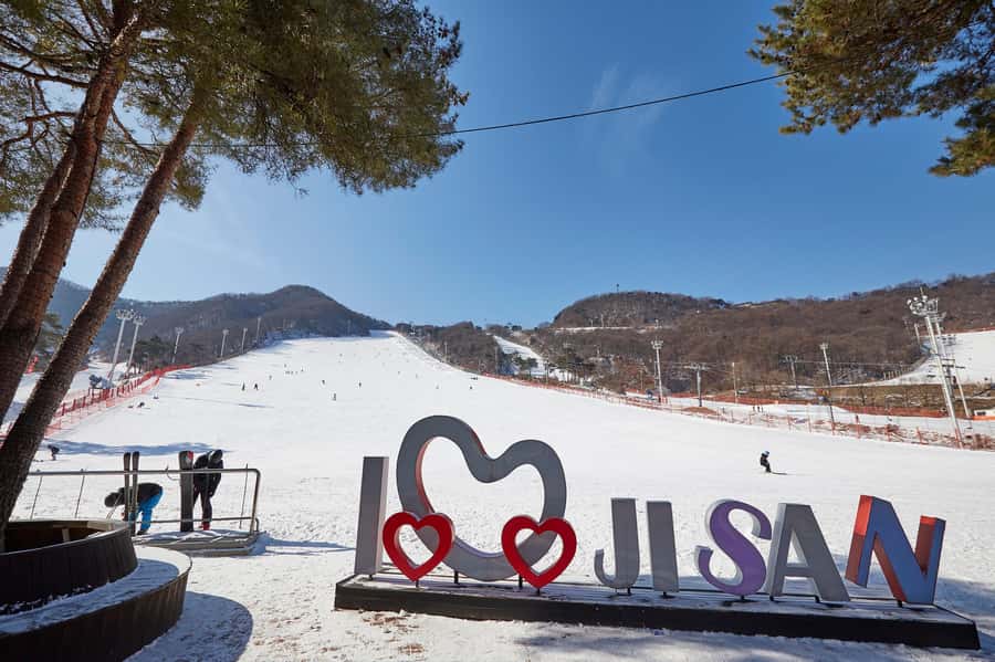 From Seoul: Korea Ski Tour - Jisan Forest Resort - Who this Korea ski tour fits best
