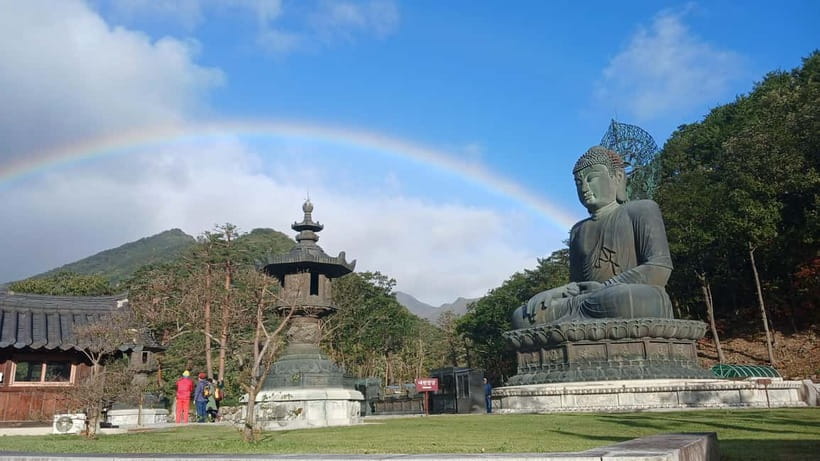 From Seoul: Korea Spring Cherry Blossom Day Tour - Pacing, walking, and how to keep your spring day comfortable