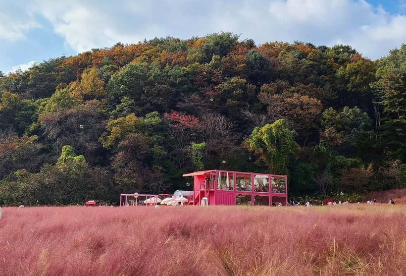 From Seoul: Pocheon, Sanjung Lake and Bidulginang Fall Trip - Why This Sanjung Lake and Bidulginang Falls Route Works From Seoul