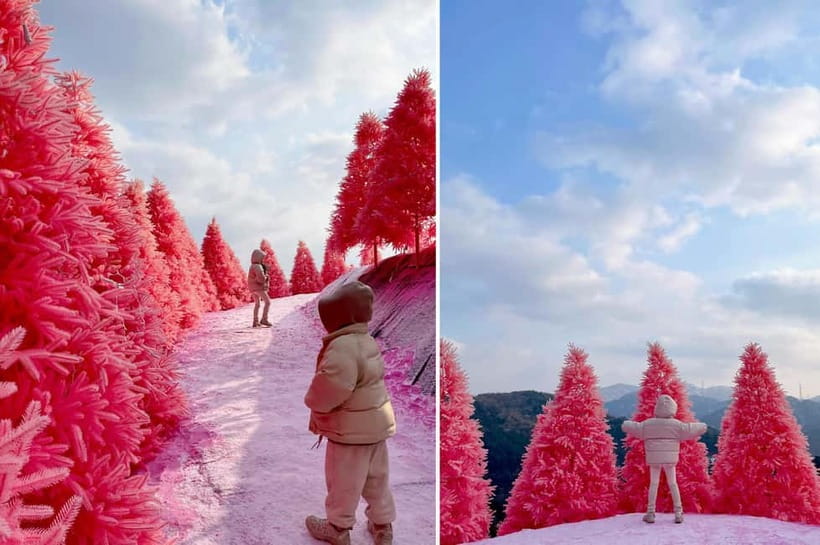 From Seoul: Pocheon, Sanjung Lake and Bidulginang Fall Trip - Sanjung Lake in Autumn: A Calm Photo Walk With Real Atmosphere