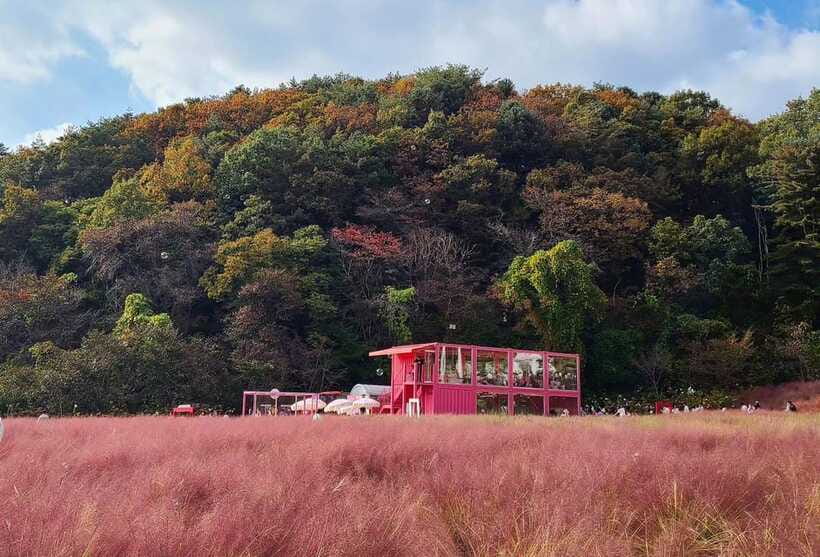 From Seoul: Pocheon, Sanjung Lake and Bidulginang Fall Trip - Group Day Reality: Crowds, Sundays, and Managing Expectations