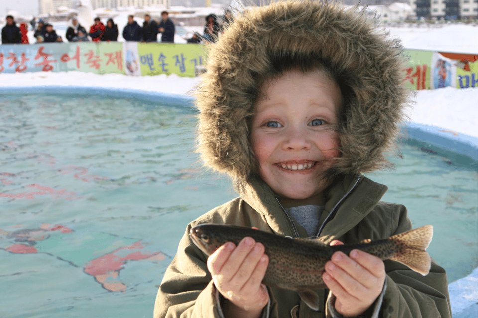 From Seoul: Pyeongchang Trout Festival - Who This Trip Suits Best (And Who Might Want a Different Plan)