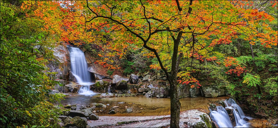 From Seoul: Seoraksan Mountain with Cable Car- Shuttle Bus - Key takeaways before you go