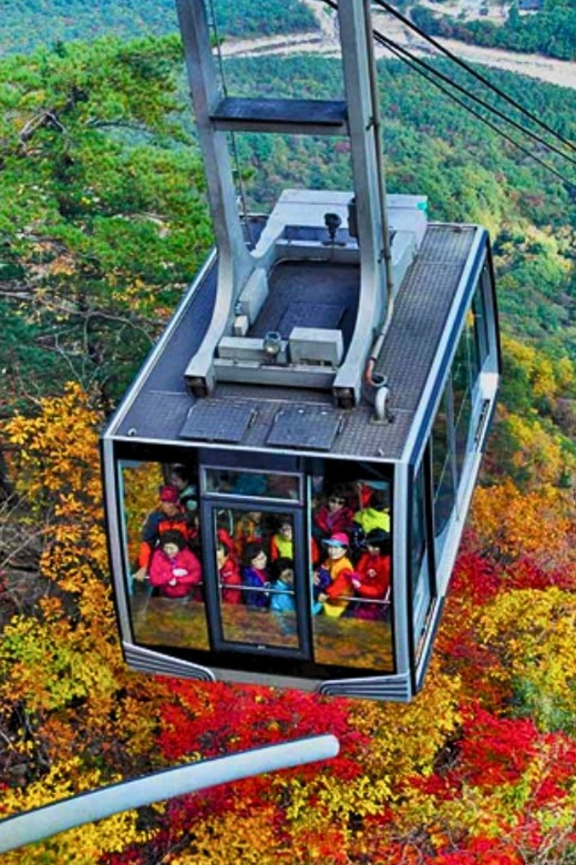 From Seoul: Seoraksan Mountain with Cable Car- Shuttle Bus - Who Should Book This Seoraksan Day Trip
