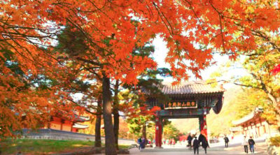 From Seoul: Seoraksan Mountain with Cable Car- Shuttle Bus - From Seoul to Mount Seorak: Getting There Without Losing Your Day
