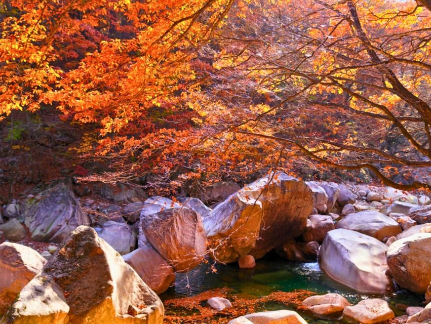 From Seoul: Seoraksan Mountain with Cable Car- Shuttle Bus - Hiking Plans That Work With a Group Tour