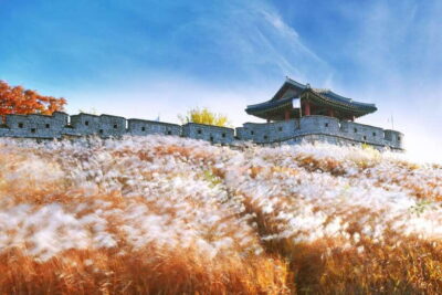 From Seoul: Suwon Hwaseong Fortress Tour - Haenggung Palace: Joseon power shown through architecture