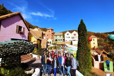 Full-Day Customizable Private Tour to Nami Island and surrounding Area - Pickup, drive time, and how to plan your morning