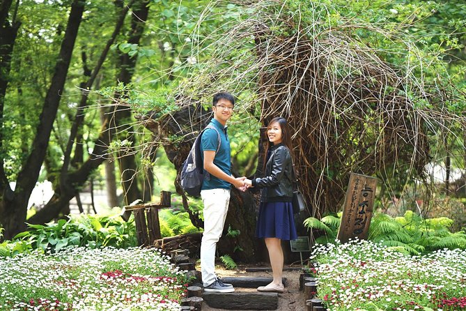 Full-Day Customizable Private Tour to Nami Island and surrounding Area - Nami Island: Winter Sonata vibes and a timed walk