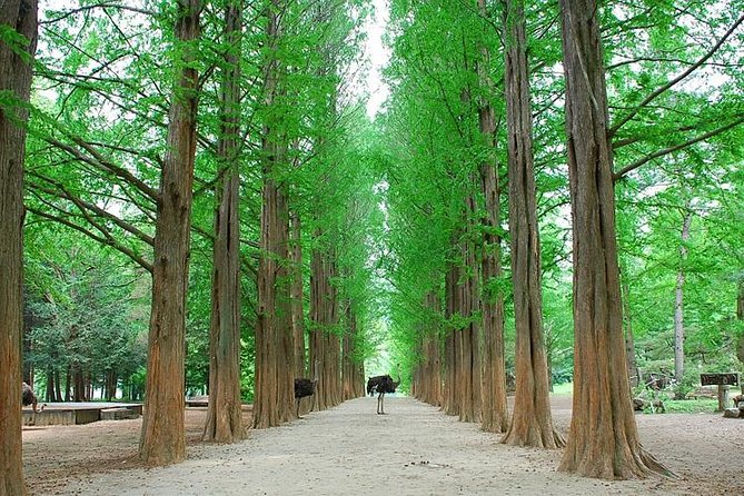Full-Day Customizable Private Tour to Nami Island and surrounding Area - Gangchon Rail Park and Rail Bike: action with scenery