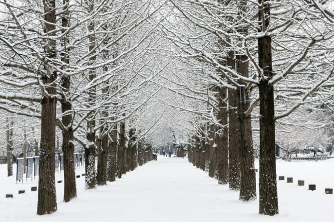 Full-Day Customizable Private Tour to Nami Island and surrounding Area - Strawberry farm and the Soyang River Sky Walk