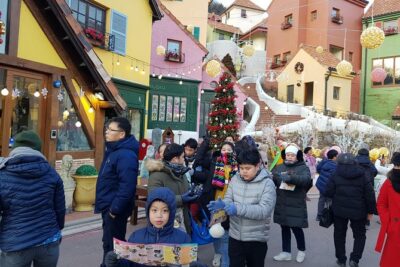 [ Full Day ] Nami Island & Petit France From Seoul - Nami Island at Leisure: Cherry and Ginkgo Walks Without the Rush