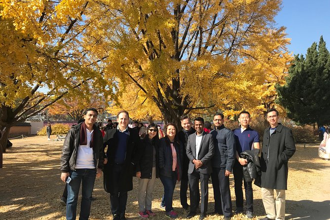 [ Full Day ] Nami Island & Petit France From Seoul - Pacing and Group Size: Up to 44 People
