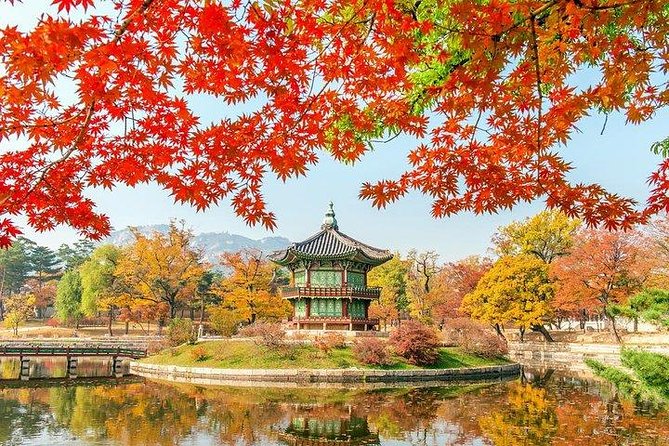 Full Day Private Seoul Tour for foodies - Seoraksan National Park: Mountain Air and Cable Car Views