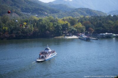 Full Day Private Tour Nami Island, Garden & Petite France - Garden of Morning Calm: your calm-up before the big sightseeing day
