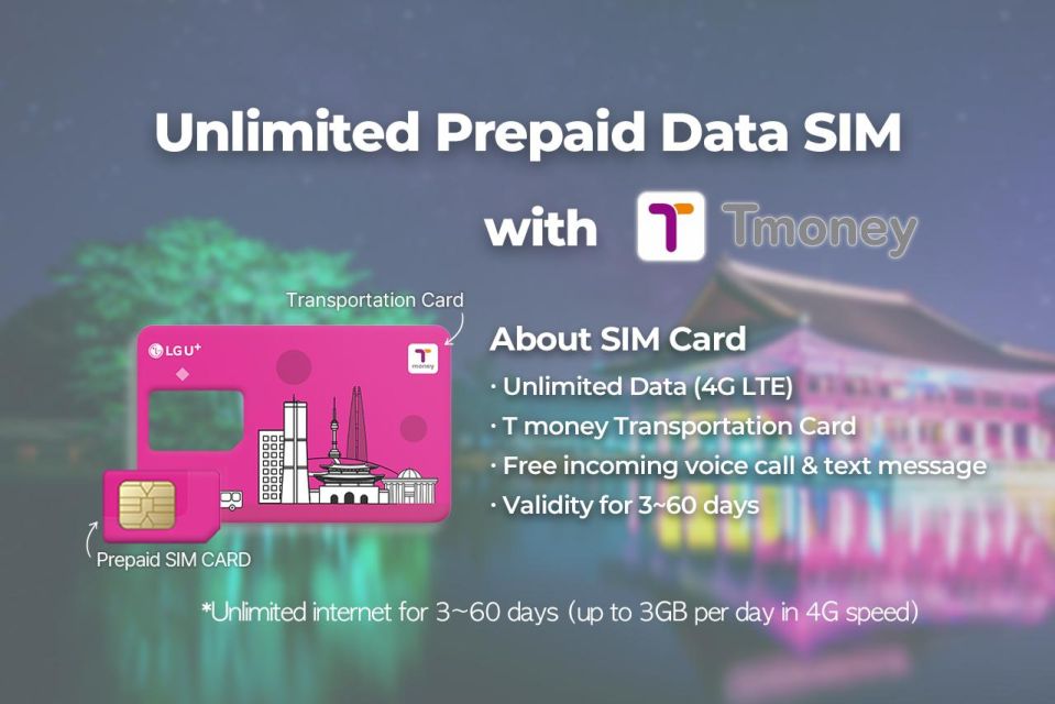 Gimpo Airport: Traveler SIM and T-money Transportation Card - Key Highlights That Matter on the Ground