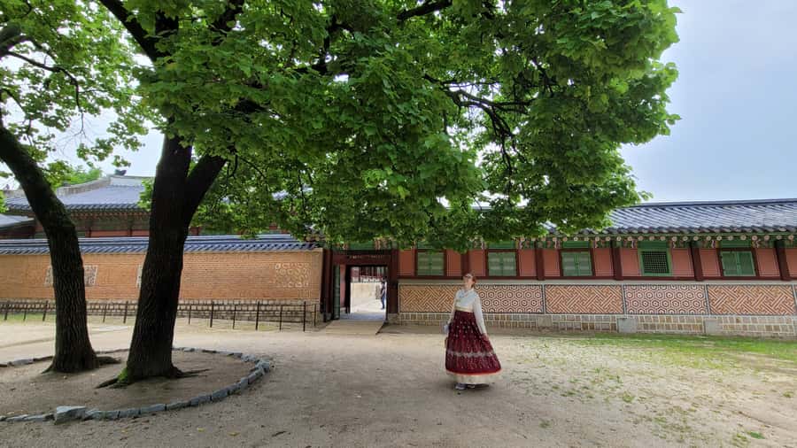 Gyeongbokgung Palace, Jogyesa Temple and Bukchon village - Start at Anguk Station Exit 6: Jogyesa and Insadong’s tea-house vibe