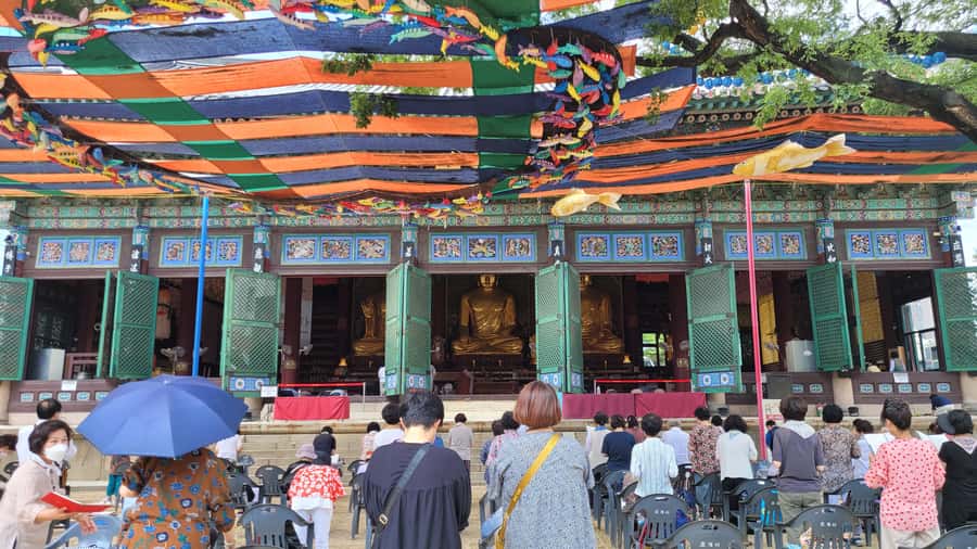 Gyeongbokgung Palace, Jogyesa Temple and Bukchon village - Who should book this Seoul walking tour