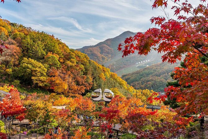 Hwadam Botanic Garden and Namhansanseong and Folk Village Trip - Key highlights at a glance