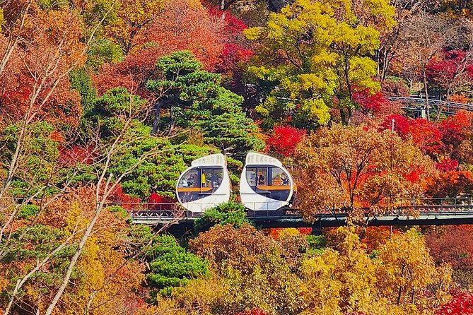 Hwadam Botanic Garden and Namhansanseong and Folk Village Trip - Hwadam Botanic Garden: peaceful conversation in a restored ecosystem