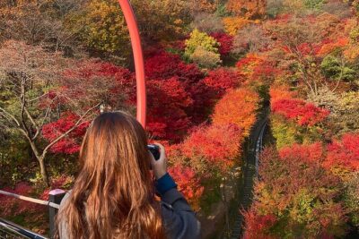 Hwadam Botanic Garden and Namhansanseong and Folk Village Trip - Namhansanseong Fortress Temporary Palace: UNESCO you can actually see