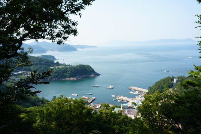 Jeonju & Yeosu: 4-Day Foodie & Artist Journey - Why Yeosu plus Jeonju works so well for food and art