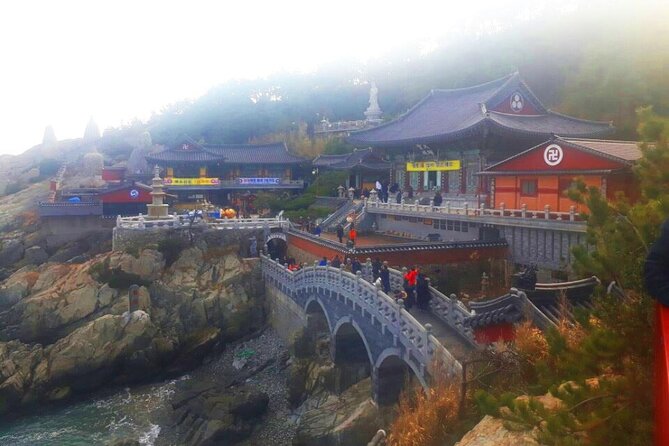 Jinhae Cherry Blossom + Busan Sunrise from Seoul - Gyeonghwa Station Cherry Blossom Road: The Walk That Delivers