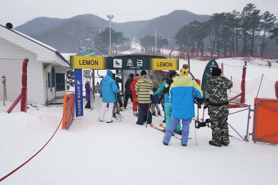 Jisan Forest Resort: Ski Full-Day Tour or Shuttle from Seoul - Why Jisan Forest is a smart pick for a Seoul ski day