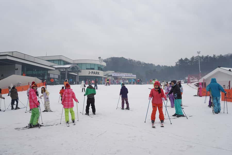 Jisan Forest Resort: Ski Full-Day Tour or Shuttle from Seoul - Your three options: Basic Ski Tour, Full Package, or Shuttle Only