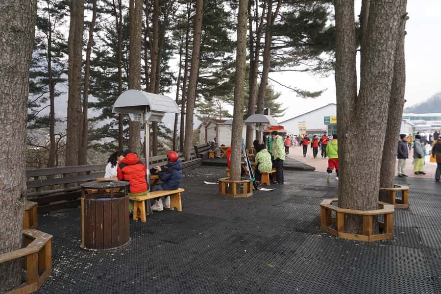 Jisan Forest Resort: Ski Full-Day Tour or Shuttle from Seoul - Gear and passes: what’s included, what costs extra, and how to plan your budget