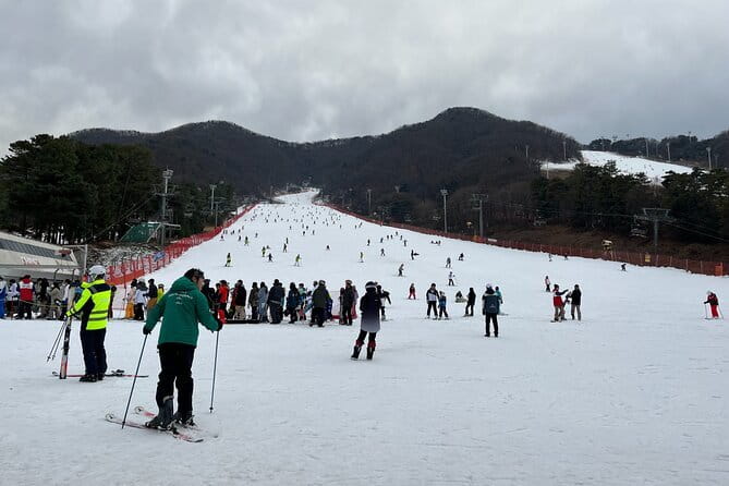 Jisan Forest Ski Resort and Everland 1 Day Tour - Timing and pacing: how to handle an 11–12 hour packed itinerary