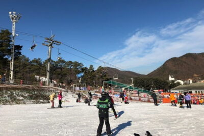 Jisan Forest Ski Resort and Everland 1 Day Tour - Everland’s day-park side: T-Express, Zootopia, and seasonal festivals