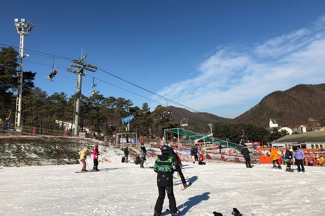 Jisan Forest Ski Resort and Everland 1 Day Tour - Everland’s day-park side: T-Express, Zootopia, and seasonal festivals