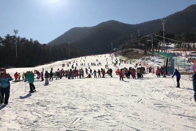 Jisan Ski One Day Tour - Entering the day: how this 11–12 hour plan really works