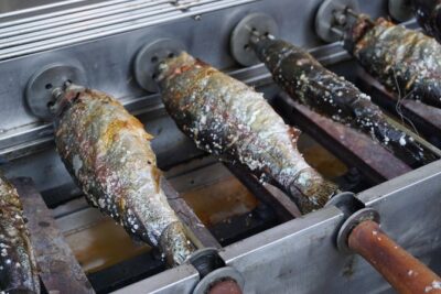 Korea Winter Ice Fishing Festival (Pyeongchang Trout Festival) - Price and logistics: what $38.14 really buys
