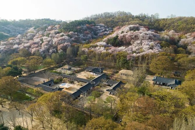 Korean Folk Village Afternoon Half day Tour - The Guide Factor: Why a Pro Changes Everything