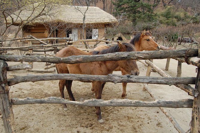 Korean Folk Village Afternoon Tour from Seoul - Who should book this tour from Seoul (and who should skip)