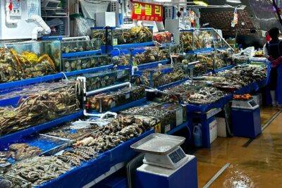 Korean Market Adventure with Chef Yie - Noryangjin Fish market - Walking the Market: What You’ll See at Noryangjin