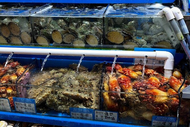 Korean Market Adventure with Chef Yie - Noryangjin Fish market - Price and Value: Is $150 Fair for What You Get?